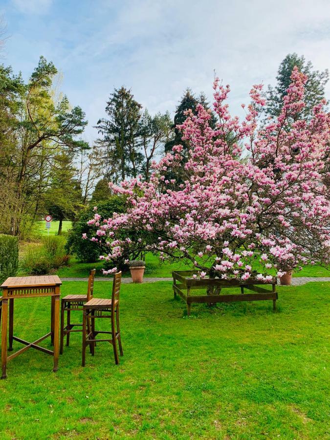Landhotel Waldhaus Laubach  Εξωτερικό φωτογραφία
